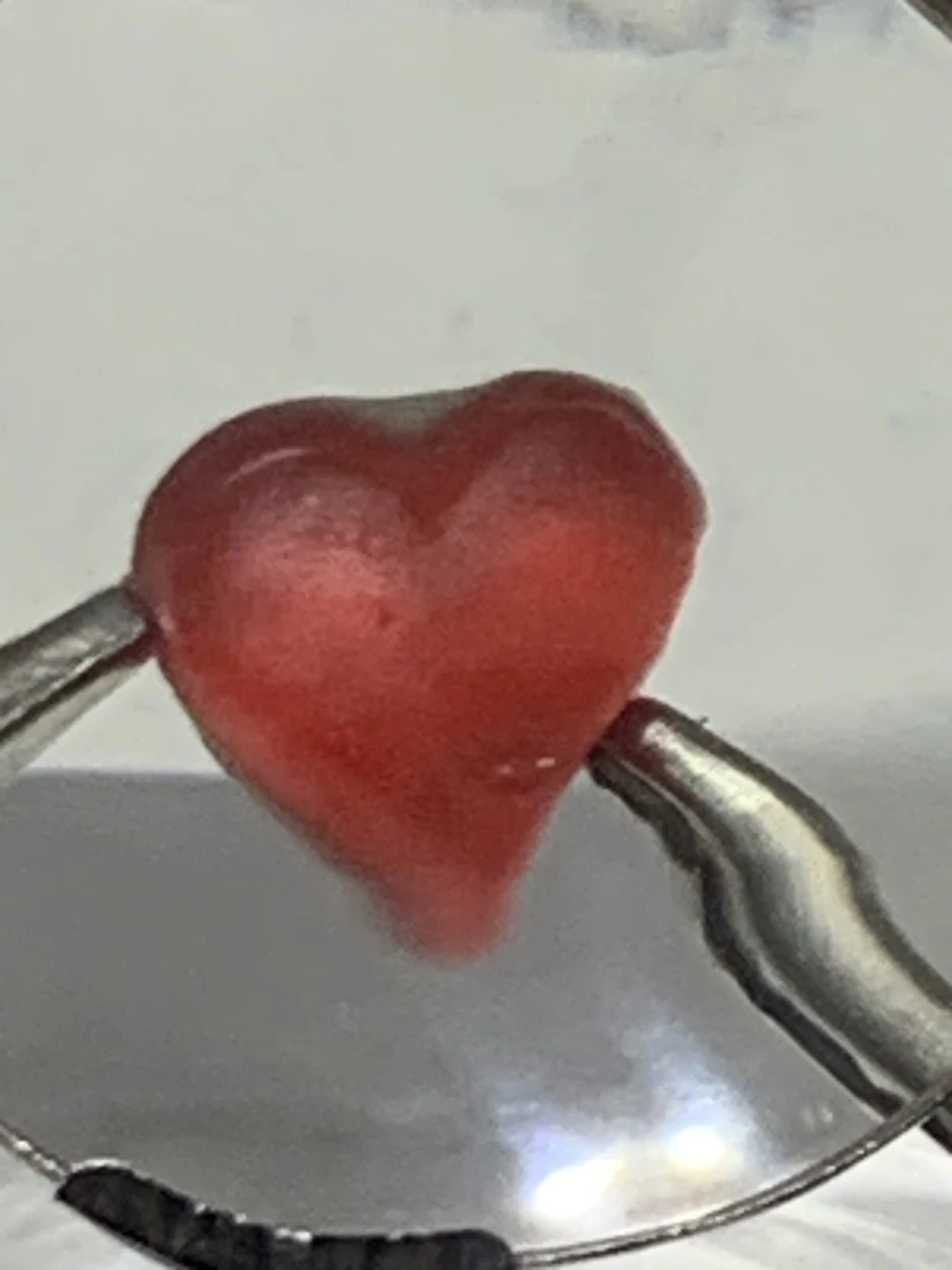 IMG_8029.jpg?type=w1