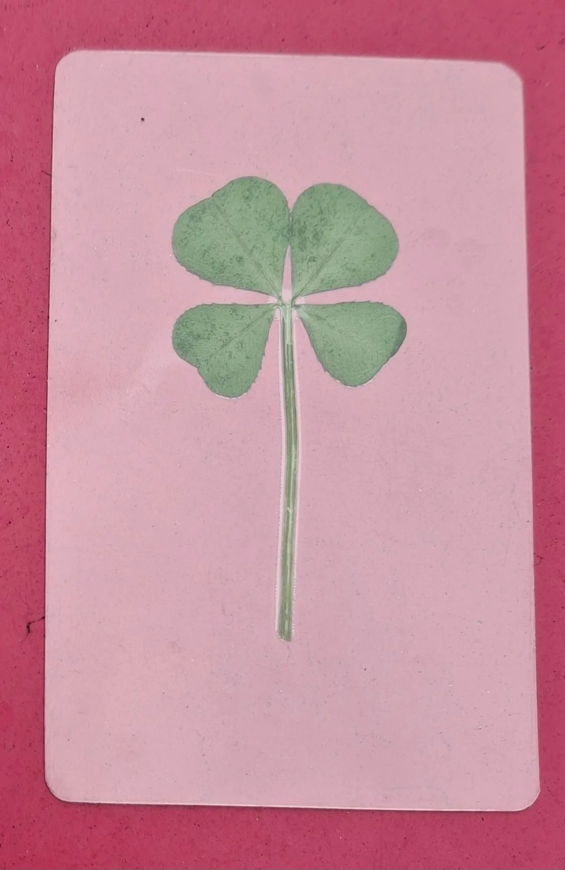 KakaoTalk_20250909_17091395%EB%84%A4%EC%9E%8E%ED%81%B4%EB%A1%9C%EB%B2%84.jpg?type=w1600