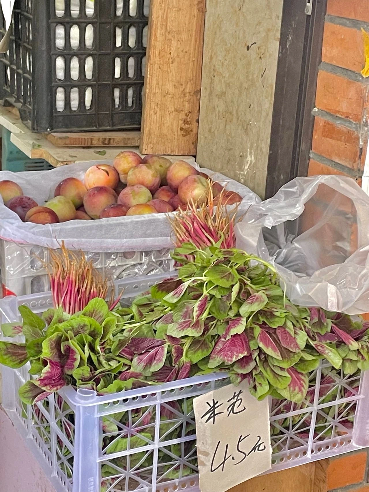 상하이 아침 2.jpeg