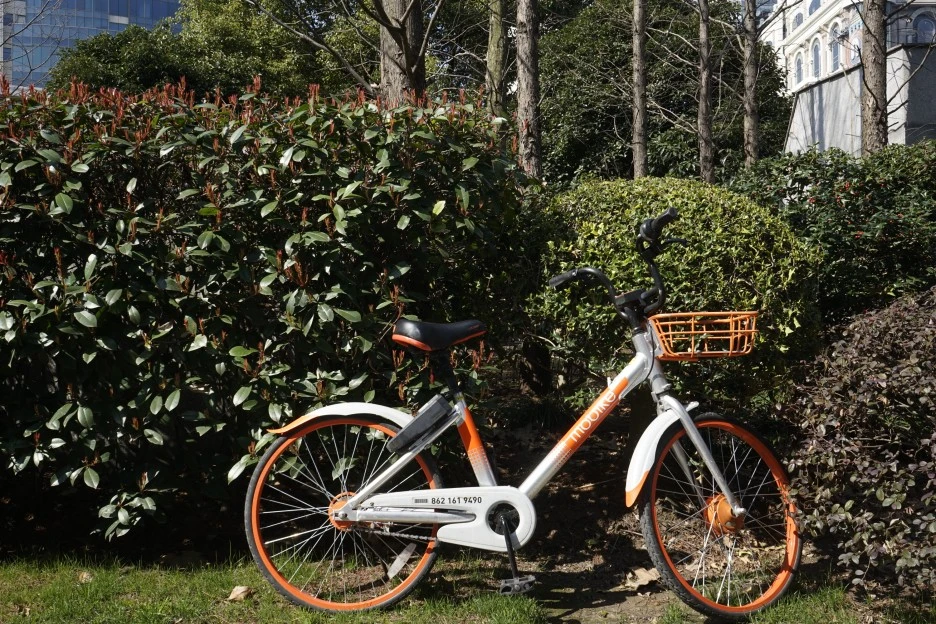 _DSC3290.JPG?type=w1