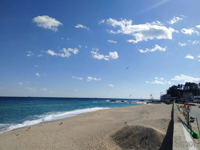 ?src=http%3A%2F%2Fblogfiles.naver.net%2FMjAyMTExMjFfMjU3%2FMDAxNjM3NDk2MDg2NjYz.cMQXCcwItI2-WXhk6aMkRkmVNF0E_z4DbXG0tWrvJzUg.7nX5IWrflyRjVA1wALiSx2TL42HVCwZWTeK77aWAYd0g.JPEG.blueblue0505%2F20211111_122259.jpg&type=sc960_832