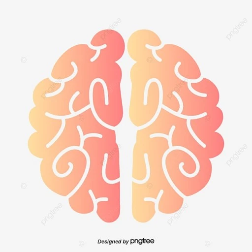 ?src=https%3A%2F%2Fpng.pngtree.com%2Fpng-vector%2F20190509%2Fourlarge%2Fpngtree-cartoon-human-brain-paper-cut-png-image_874908.jpg&type=sc960_832
