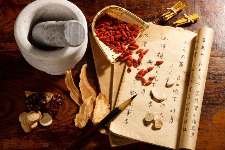 ?src=http%3A%2F%2Fpost.phinf.naver.net%2FMjAyMzExMjBfMTk3%2FMDAxNzAwNDUyMDkwNTIx.4czWYR1COPkVI3CDCTDutTSJ6Vk8rPRosjK_lYADeJkg.qoQaZpL_CnpBuOep2aO39jZon49Jh_JuiEitVITawPYg.JPEG%2FIJSfU_hjfxQcNVOwj5IICoxzaWbs.jpg&type=sc960_832