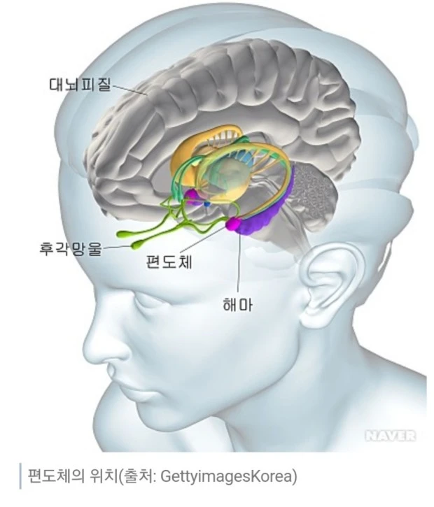 ?src=http%3A%2F%2Fblogfiles.naver.net%2FMjAyMjExMTZfMjAw%2FMDAxNjY4NTYwNzEzODA5.4PeViYOHo110Ucak7jV9fv1uHOJYahd45S-r6sViU5Eg.ntKey-VWx27XNH8_AFp0ZQJi7hR12Z3hm4uELC9YsfIg.JPEG.rebecca1028%2FScreenshot%25A3%25DF20221116%25A3%25AD013340%25A3%25DFNAVER.jpg&type=sc960_832