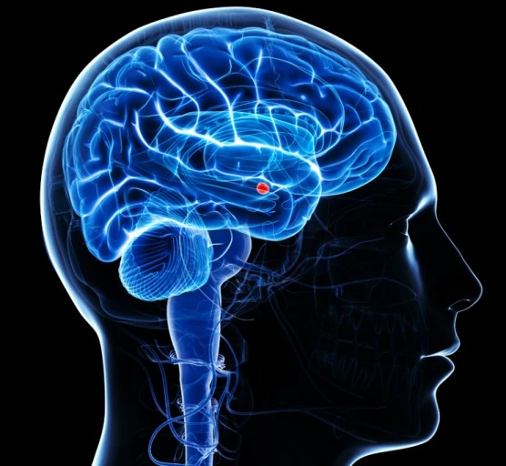 ?src=http%3A%2F%2Fblogfiles.naver.net%2FMjAyMzA3MjhfMjUz%2FMDAxNjkwNTA2MTIwNTk1.9nXMXCH7eyKYRDWRgIDbKyjS0wC8waNQUMAirBl6WQgg.iWy_ZuH_ld3wSiBL2yAbJdkReV4d8t2ONsn42cbyf1Qg.PNG.govost%2Fimage.png&type=sc960_832