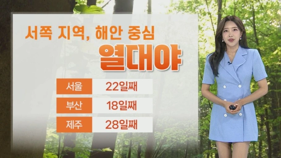 ?src=https%3A%2F%2Fimg7.yna.co.kr%2Fmpic%2FYH%2F2024%2F08%2F12%2FMYH20240812020000641_P4.jpg&type=sc960_832