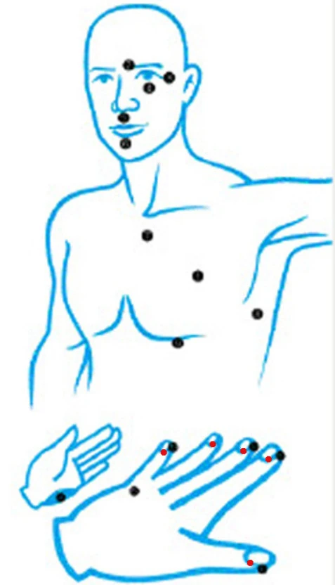 ?src=http%3A%2F%2Fcafefiles.naver.net%2F20100209_267%2Fsenfrancisco_1265722701159tn05c_jpg%2Fhtm_200804230932580107000001070100-001_senfrancisco.jpg&type=sc960_832