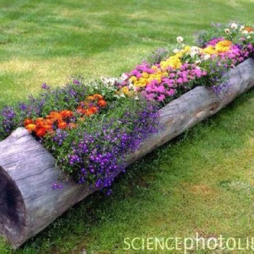 ?src=https%3A%2F%2Fi.pinimg.com%2Foriginals%2F02%2F44%2F4d%2F02444d3c1ee2467f9e6347029df758f7.jpg&type=sc960_832