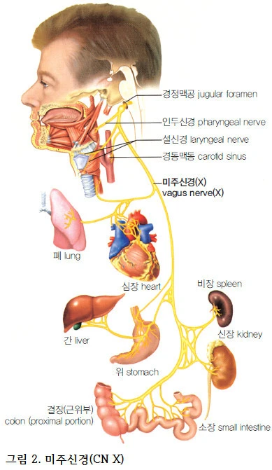 ?src=http%3A%2F%2Fimgnews.naver.net%2Fimage%2F346%2F2019%2F10%2F02%2F0000028474_002_20191002144310056.jpg&type=sc960_832
