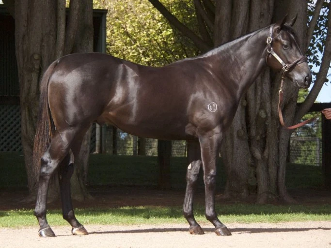 ?src=http%3A%2F%2Fblogfiles.naver.net%2FMjAyMTA1MDVfOTcg%2FMDAxNjIwMTk5ODEyMTE1.5e79yVxbR8RhcMJTGPSaH9FNw9na2Fp6BPmYo9v3rXsg.2loavpYuahTX0UP_Vap4GaDEi7gz8IDhqpMXohZj_X0g.JPEG.airforce2676%2F2.jpg&type=sc960_832