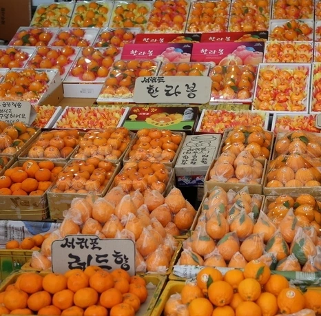 동문시장_귤.jpeg