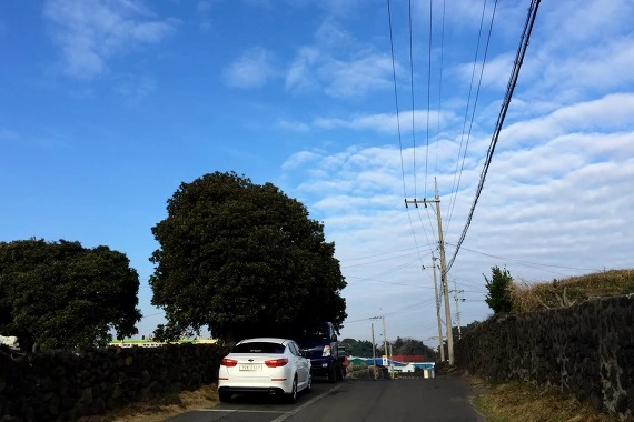 262FC133551D2D0B235E67