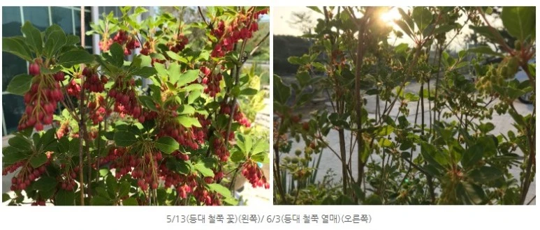 %EB%93%B1%EB%8C%80%EC%B2%A0%EC%AD%89.jpg?type=w773