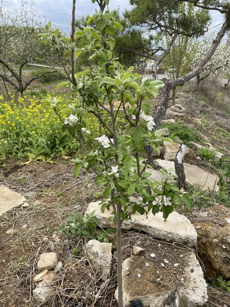 IMG_7338.JPG?type=w773