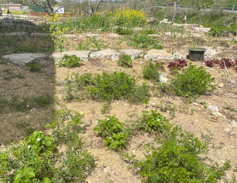 SE-393e987f-c6af-45e0-8cab-6e813eaa6cd1.jpg?type=w773