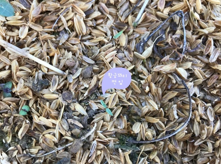 SE-f4d88f25-c0fb-4d64-83d6-ebd837f8dc5a.jpg?type=w773