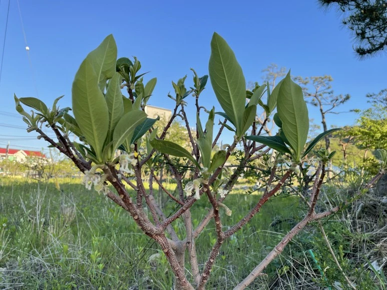 IMG_7437.JPG?type=w773