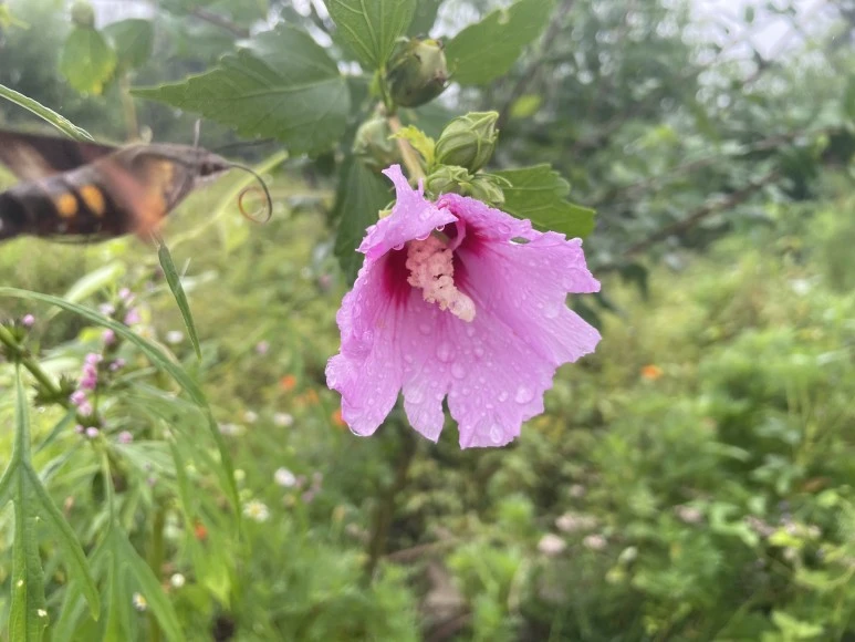 IMG_8996.JPG?type=w773