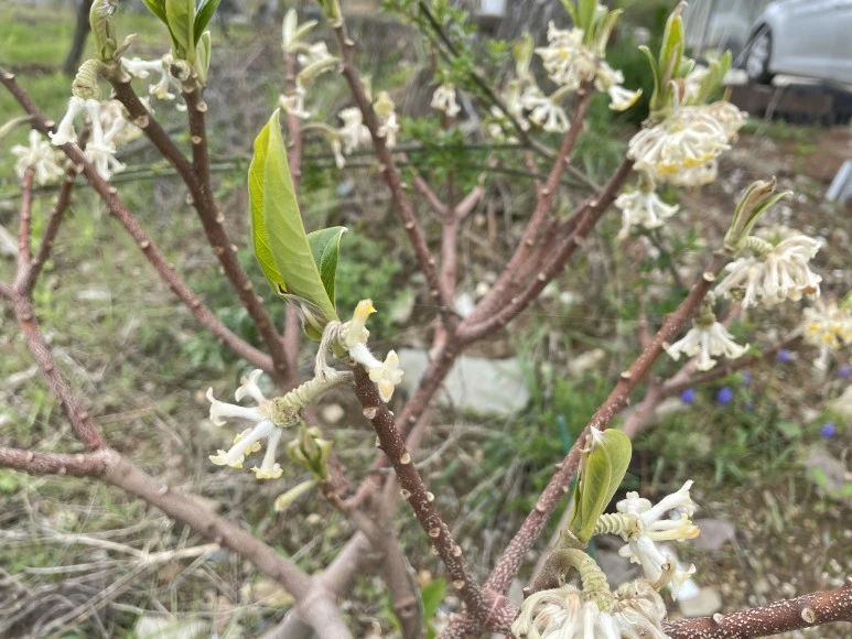 IMG_7348.JPG?type=w773