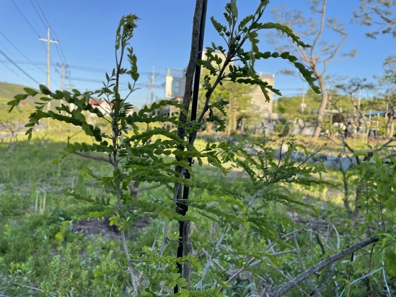 IMG_7450.JPG?type=w773