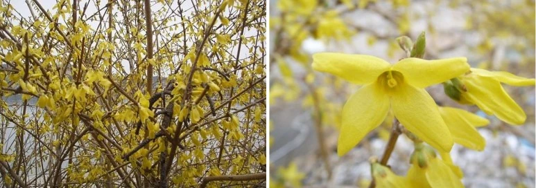 %EA%B0%9C%EB%82%98%EB%A6%AC.jpg?type=w773