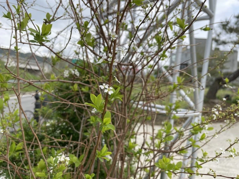 IMG_7321.JPG?type=w773