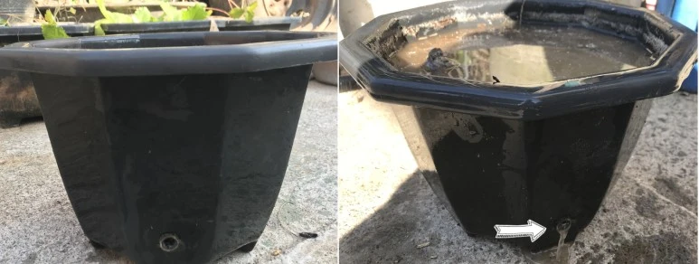 SE-ea032b7d-21f3-4c5c-8fb9-e4b9dc00bee2.jpg?type=w773