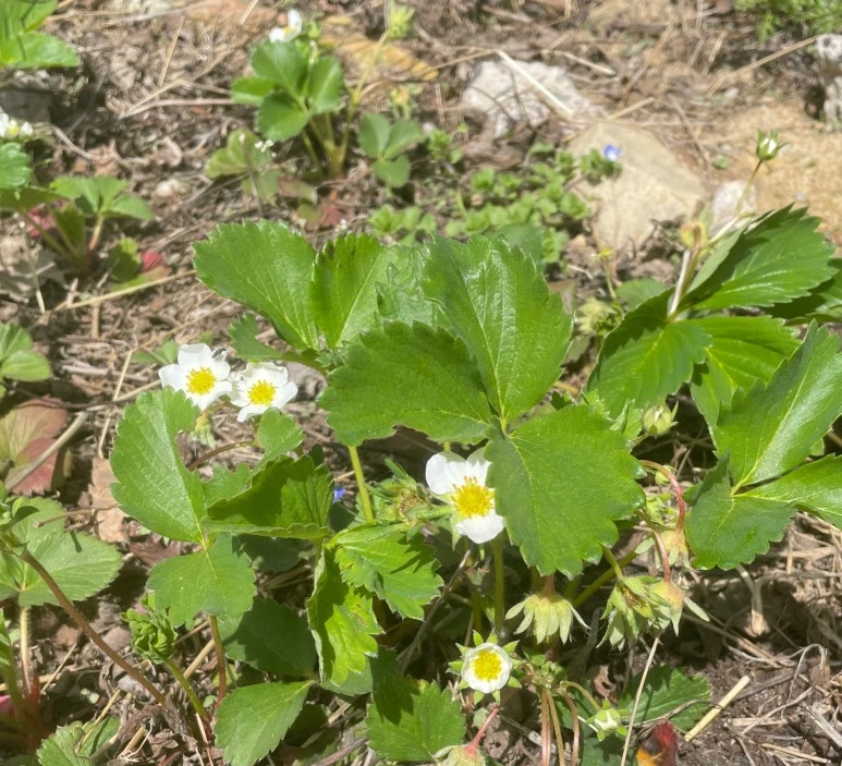 SE-e6a5a121-a528-42e7-adcb-4b0463751e82.jpg?type=w773