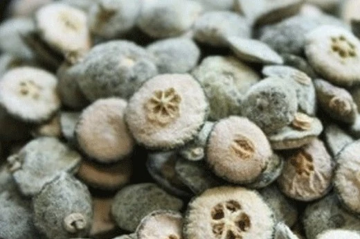 %EC%A7%80%EC%8B%A4.jpg?type=w773