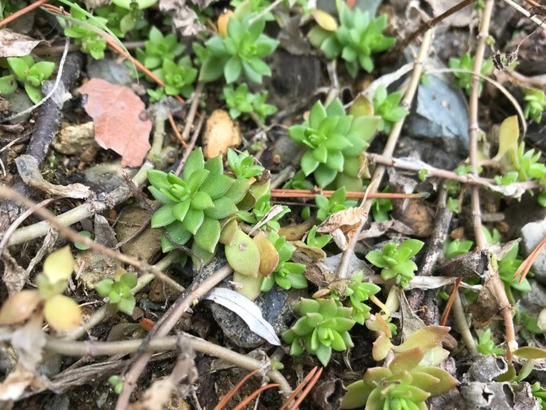 SE-73ed3913-9011-42b0-ba20-63a9cb6a4eea.jpg?type=w773