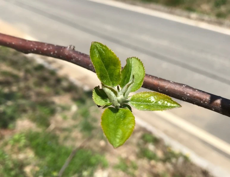 SE-c6f89313-7b96-4d1d-8391-a6f3457f9ff3.jpg?type=w773