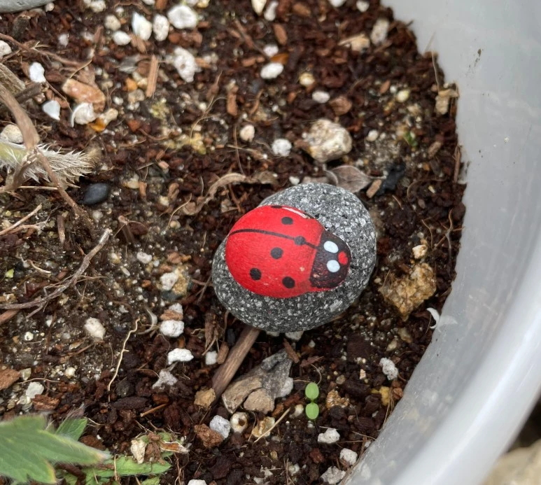 SE-8b9026e8-3c3c-4ded-951c-3a7c5ce661a1.jpg?type=w773