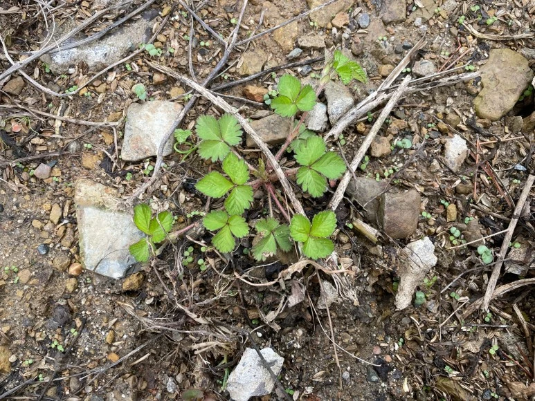 SE-3dd9c92d-0abf-4861-bf97-955be6a42162.jpg?type=w773