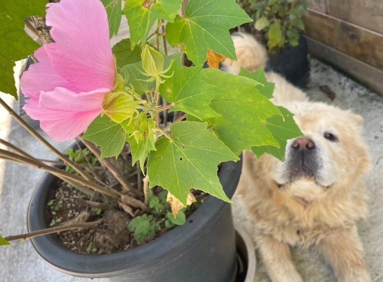 SE-9cdb4441-aa7e-4f80-9127-fbe97f7c73b5.jpg?type=w773