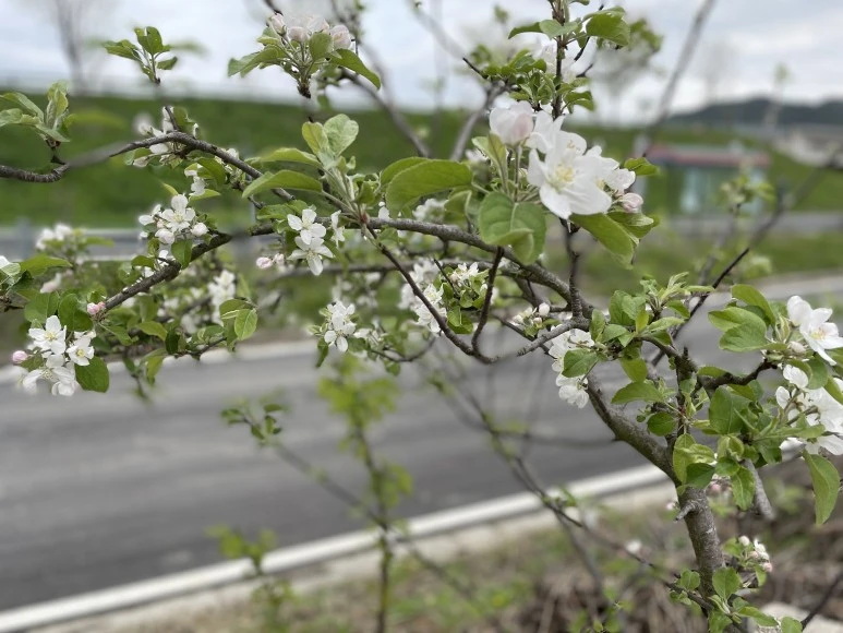 IMG_E7336.JPG?type=w773