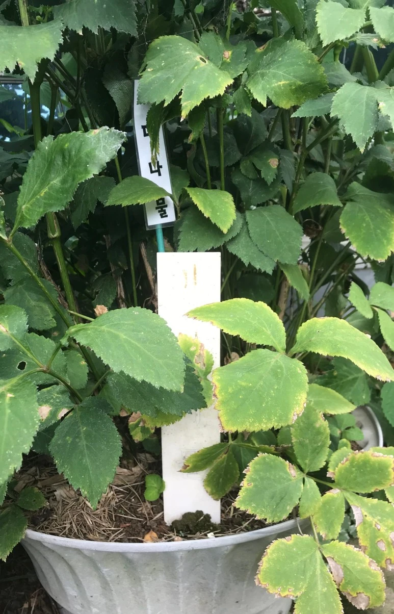 SE-3c84feba-dc4c-40d3-b4a4-11812ca8baaf.jpg?type=w773