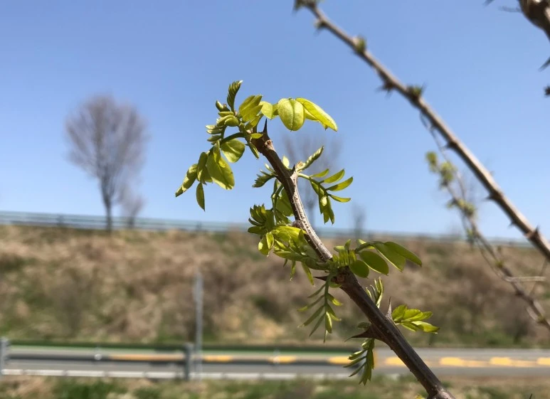 SE-931a6e79-2546-4764-9b90-e457f6fe7a02.jpg?type=w773