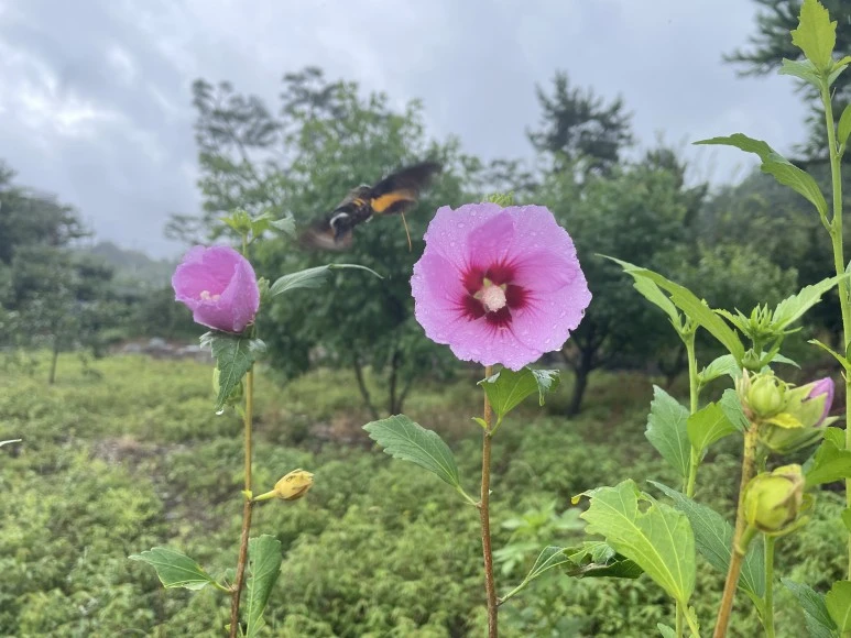 IMG_8994.JPG?type=w773