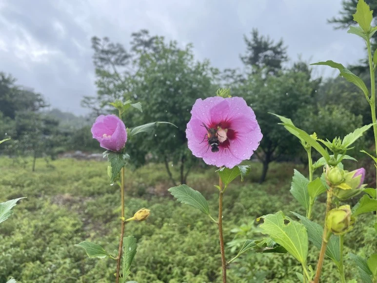 IMG_8995.JPG?type=w773