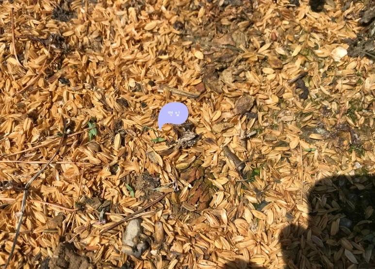 SE-ed5dd672-50e7-4bef-87ff-46f578c7adfd.jpg?type=w773