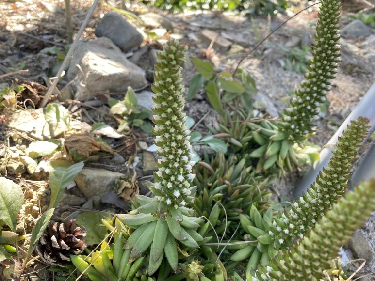 IMG_6056.JPG?type=w773