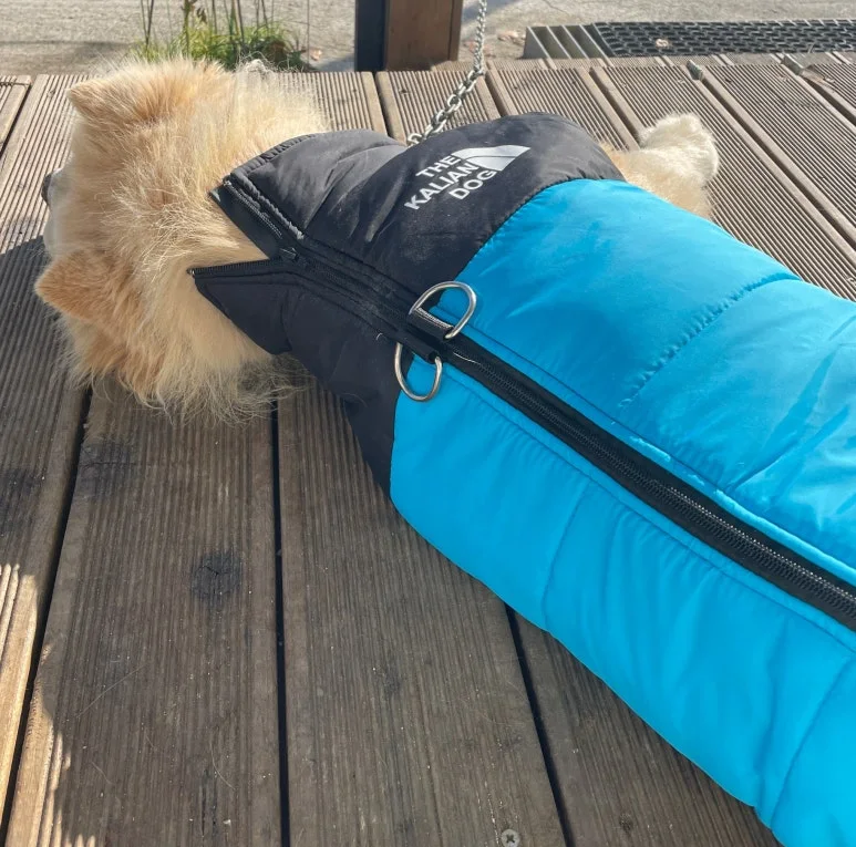 SE-bcbf624d-dd2e-46ba-87b4-945f1e24c993.jpg?type=w773