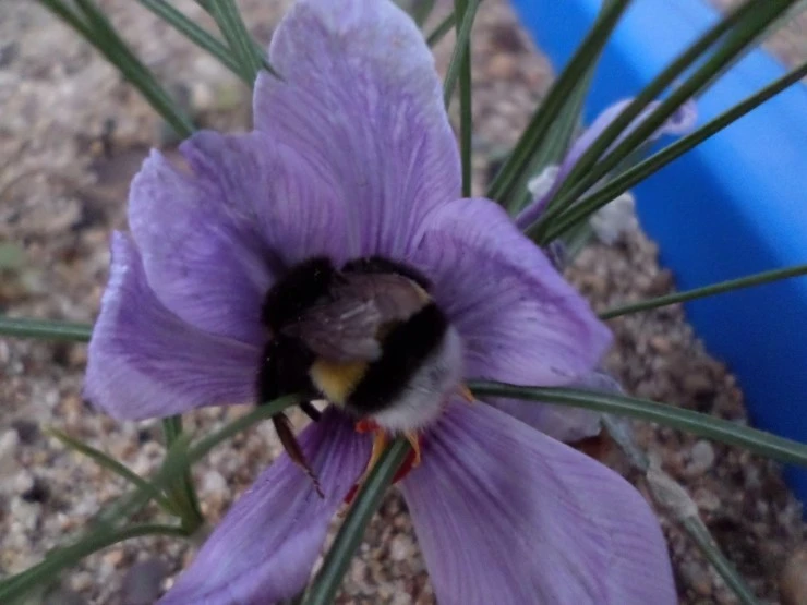 SAM_1752.JPG?type=w2