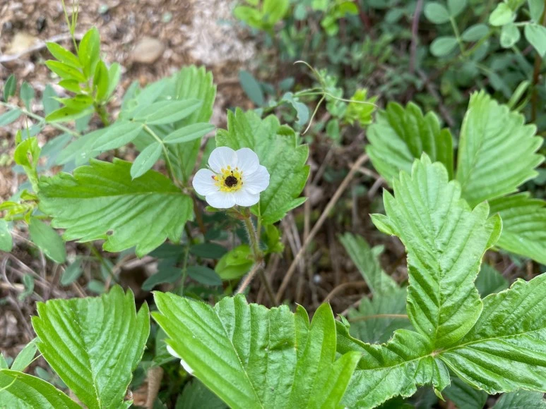 SE-7825fc7f-c07e-4332-8509-788ba7fde176.jpg?type=w773