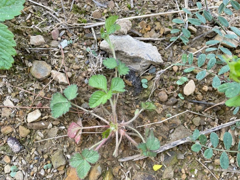 SE-1fdb745f-939c-4aef-b84b-9282bb5b5a08.jpg?type=w773