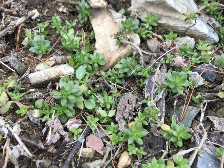 IMG_3845.JPG?type=w773