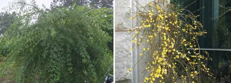 %EC%A4%91%EA%B5%AD-%EC%98%81%EC%B6%98%ED%99%94.jpg?type=w773