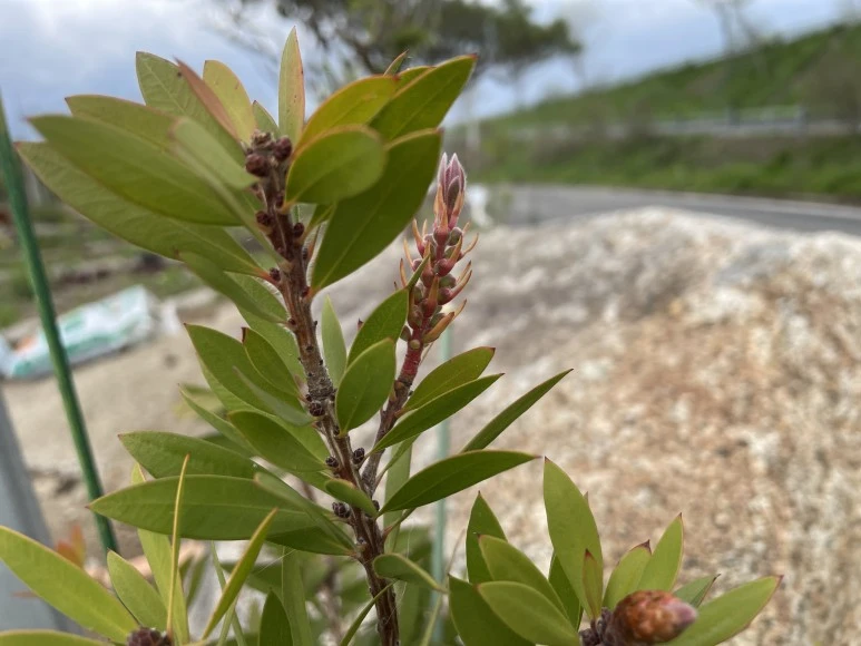 IMG_7324.JPG?type=w773