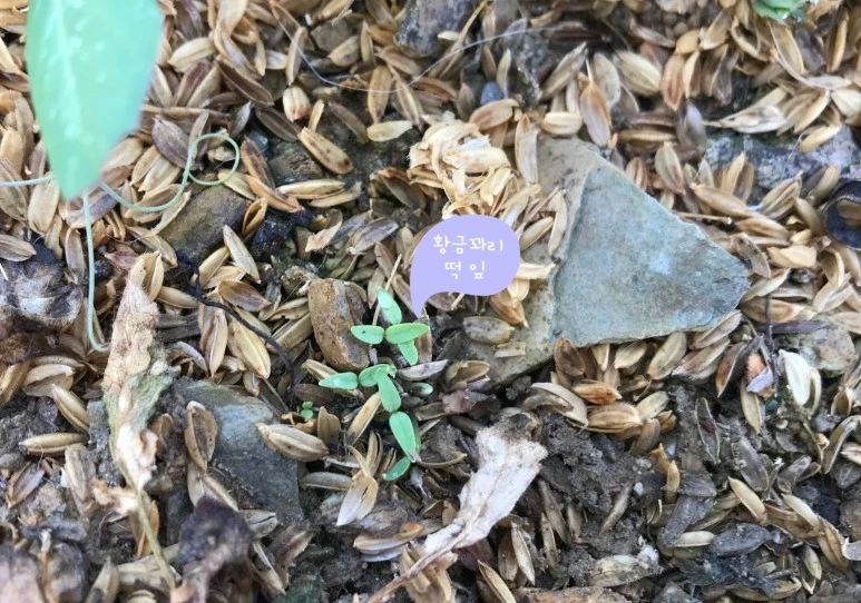 SE-82ac68e9-eb38-409c-82b7-f6565e0e19de.jpg?type=w773