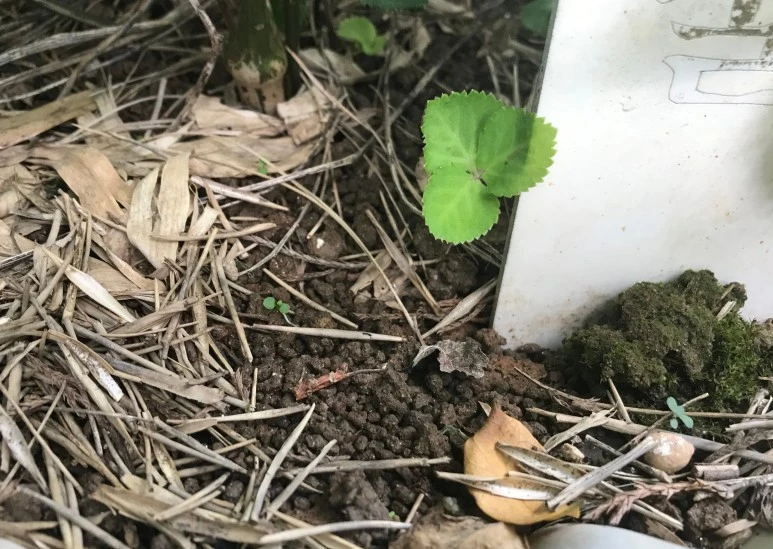 SE-ab278b03-58af-46b5-9728-f2b9f228d67e.jpg?type=w773